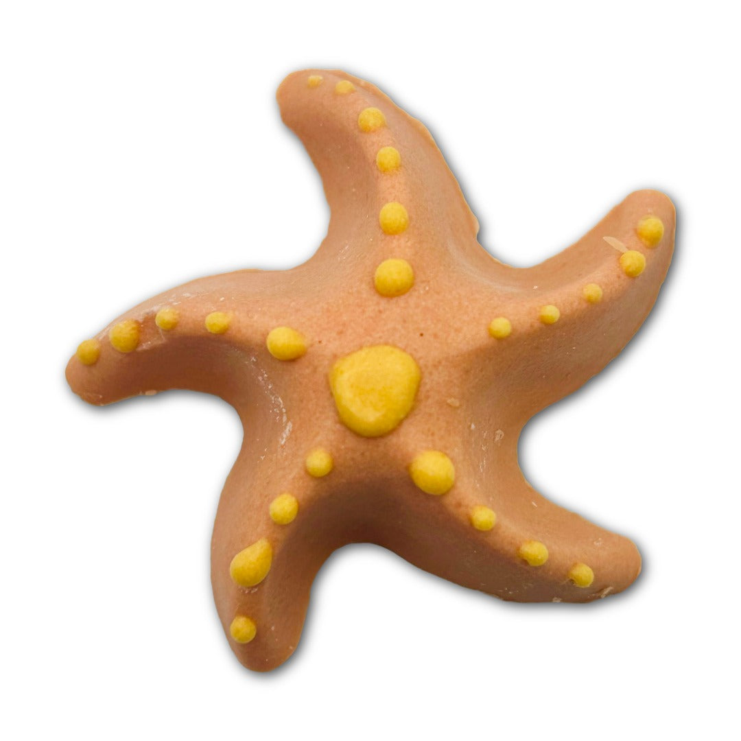 BasicBxtch Chocolate Starfish