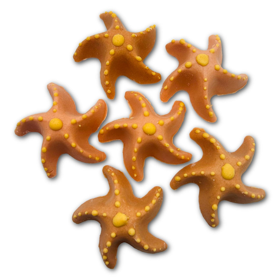 BasicBxtch Chocolate Starfish